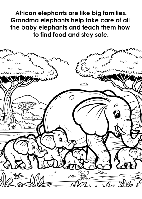 Elephant Grandma Elephant Grandma